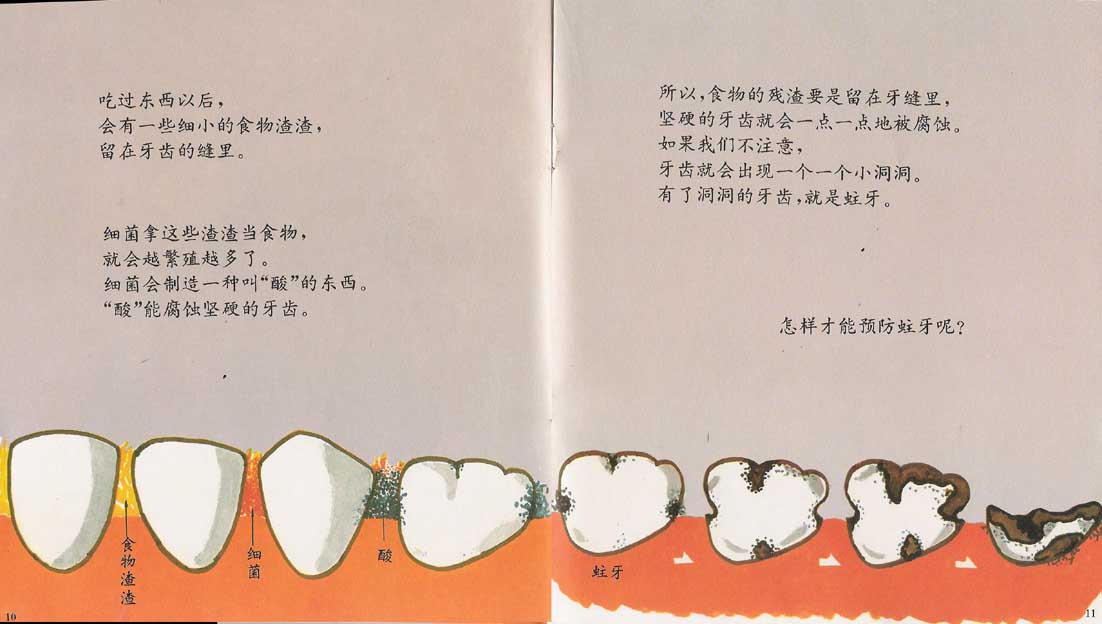 牙齿的故事 (07),绘本,绘本故事,绘本阅读,故事书,童书,图画书,课外阅读